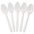 GEN Medium-Weight Cutlery, Teaspoon, White, 1000/Carton (PPTS)