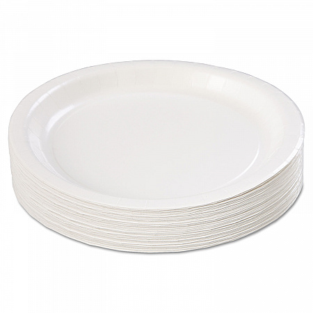 Coated Paper Dinnerware, Plate, 9