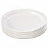 Coated Paper Dinnerware, Plate, 9