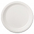 Coated Paper Dinnerware, Plate, 9