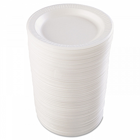 Quiet Classic Laminated Foam Dinnerware, Plate, 9