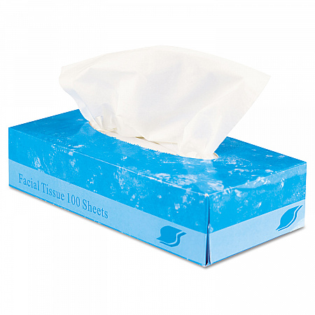 Boxed Facial Tissue, 2-Ply, White, 100 Sheets/Box, 30 Boxes/Carton (FACIAL30100)