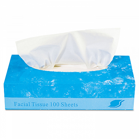 Boxed Facial Tissue, 2-Ply, White, 100 Sheets/Box, 30 Boxes/Carton (FACIAL30100)