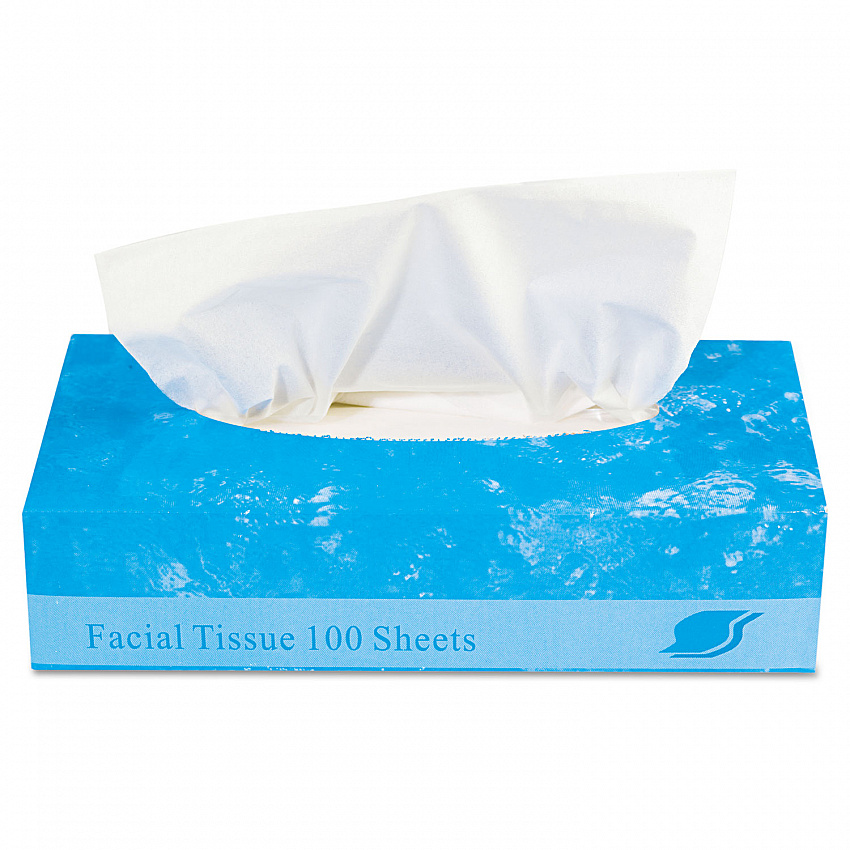 Boxed Facial Tissue, 2-Ply, White, 100 Sheets/Box, 30 Boxes/Carton (FACIAL30100)