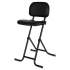Alera IL Series Height-Adjustable Folding Stool, Supports Up to 300 lb, 27.5" Seat Height, Black (CS612)