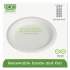 Eco-Products Renewable and Compostable Sugarcane Plates Convenience Pack, 6" dia, Natural White, 50/Packs, 20 Packs/Carton (EPP016PKCT)