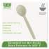 Eco-Products PLANT STARCH SPOON - 7", 50/PACK, 20 PACK/CARTON (EPS003CT)