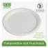 Eco-Products Renewable and Compostable Sugarcane Dinnerware, Plate, 10" dia, Natural White, 50/Pack (EPP005PK)