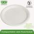 Eco-Products Renewable and Compostable Sugarcane Plates, 10" dia, Natural White, 500/Carton (EPP005)