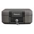Sentry Safe Waterproof Fire-Resistant Chest, 0.28 cu ft, 15.4w x 14.3d x 6.6h, Charcoal Gray (CFW20201)