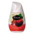 Renuzit Adjustables Air Freshener, Blissful Apples and Cinnamon, 7 oz Cone (03674EA)