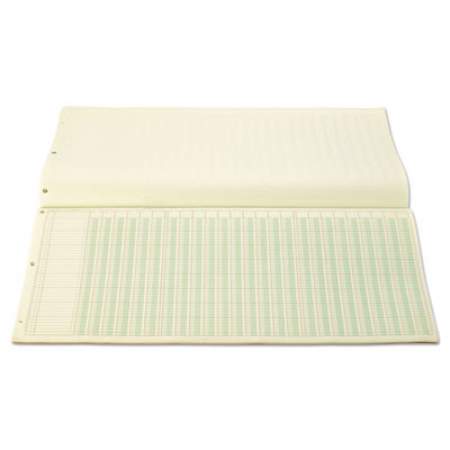 Wilson Jones Accounting Pad, (25) 6-Unit Columns, 11 x 24.25, Light Green, 50-Sheet Pad (G7225A)