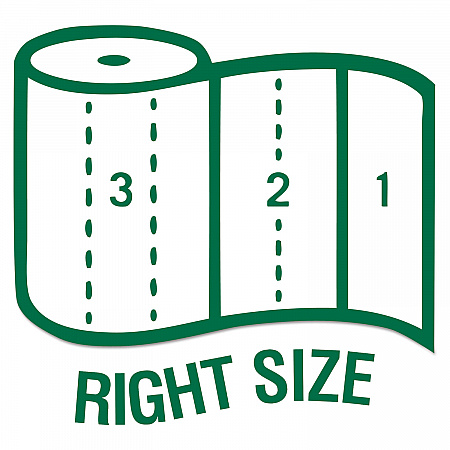 100% Recycled Paper Kitchen Towel Rolls, 2-Ply, 11 x 5.4, 140 Sheets/Roll, 6 Rolls/Pack (13731PK)