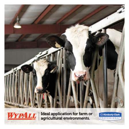 WypAll L10 SANI-PREP Dairy Towels, Banded, 1-Ply, 10 1/2 x 9 3/10, 200/Pk, 12 Pk/Carton (01770)