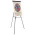 MasterVision Telescoping Tripod Display Easel, Adjusts 38" to 69" High, Metal, Black (FLX05101MV)