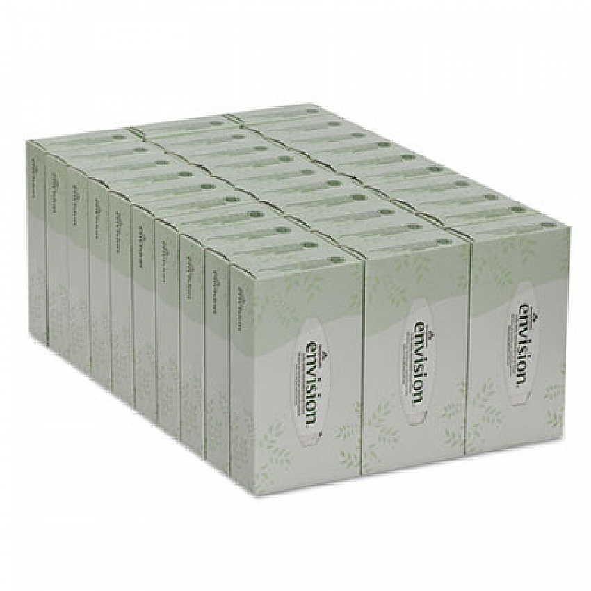 Envision White Facial Tissue, 2-Ply, White, 100 Sheets/Box, 30 Boxes/Carton (47410)