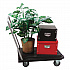 Heavy-Duty Platform Cart, 300 lb Capacity, 21 x 32.5 x 37.5, Black (CRT550004)