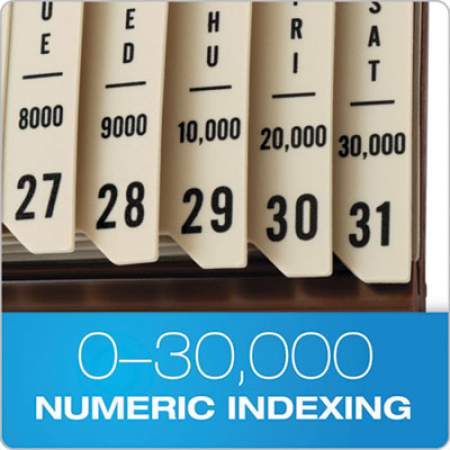 Pendaflex General Purpose Indexed Sorter, 31 Dividers, Alpha/Numeric/Months/Dates/Days, Letter-Size, Brown Frame (40652)