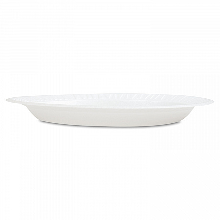 Concorde Foam Plate, 9