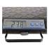 Brecknell Portable Electronic Utility Bench Scale, 250lb Capacity, 12.5 x 10.95 x 2.2  Platform (GP250)