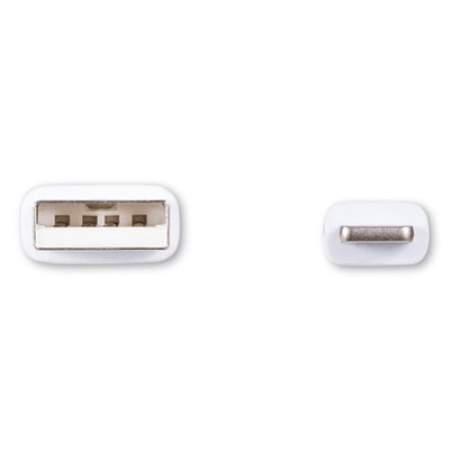 Innovera USB Lightning Cable, 3 ft, White (30018)