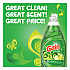 Dishwashing Liquid, Gain Original Scent, 38 oz Bottle (74346EA)