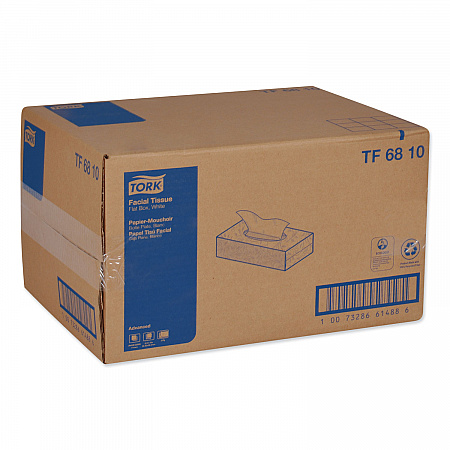 Advanced Facial Tissue, Flat Box, 2-Ply, White, 100 Sheets/Box, 30 Boxes/Carton (TF6810)