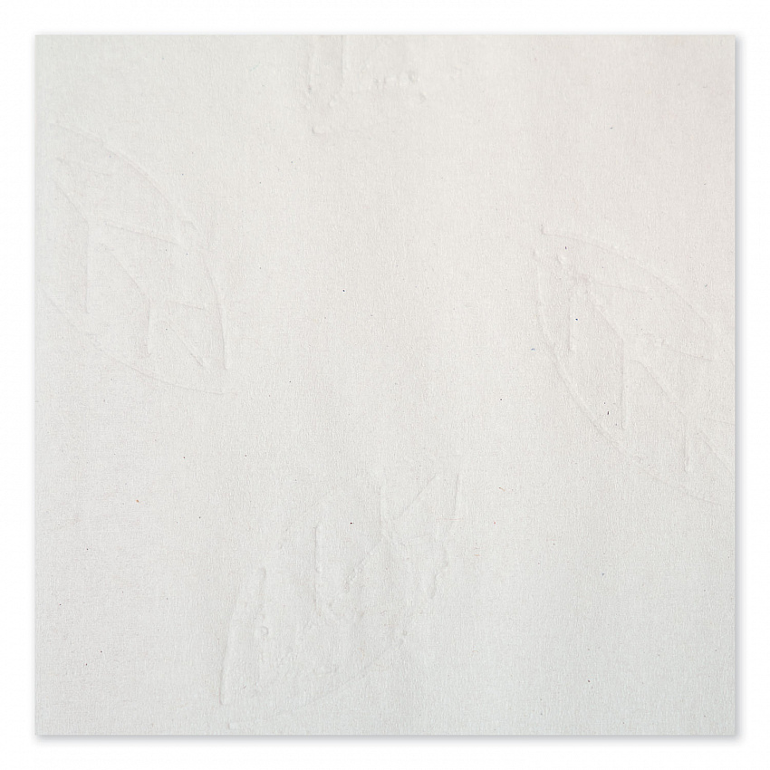 Multifold Paper Towels, 2-Ply, 9.13 x 9.5, White, 189/Pack, 16 Packs/Carton (101293)