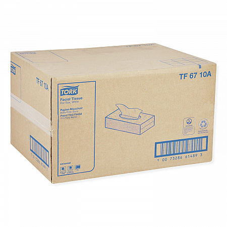 Universal Facial Tissue, 2-Ply, White, 100 Sheets/Box, 30 Boxes/Carton (TF6710A)