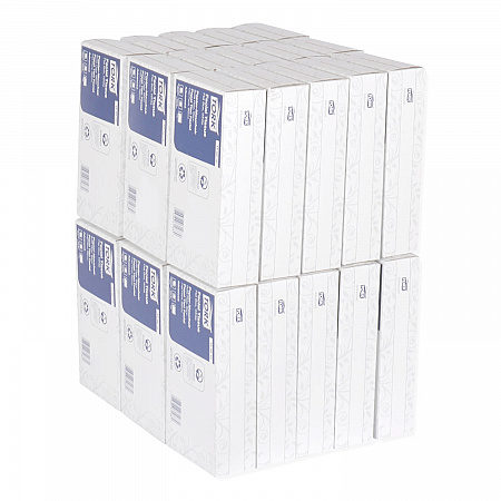 Advanced Facial Tissue, Flat Box, 2-Ply, White, 100 Sheets/Box, 30 Boxes/Carton (TF6810)