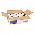 Premium Extra Soft Matic Hand Towel Roll, 2-Ply, 7.7