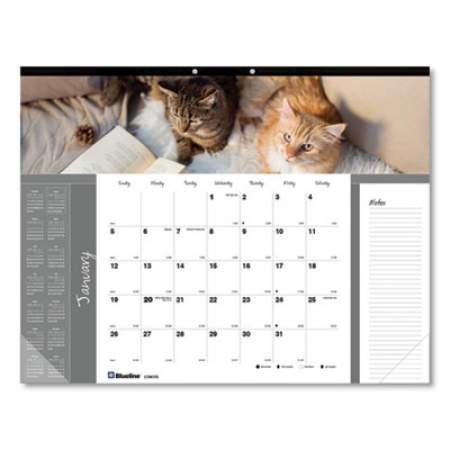 Blueline Pets Collection Monthly Desk Pad, Furry Kittens Photography, 22 x 17, White Sheets, Black Binding, 12-Month (Jan-Dec): 2022 (C194115)