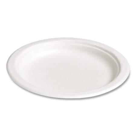 Perk Compostable Paper Plates, Bagasse, 6" dia, White, 250/Pack (24394008)