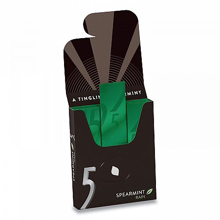 5 Gum, Spearmint Rain, 15 Sticks/Pack, 10 Packs/Box (WMW51404)