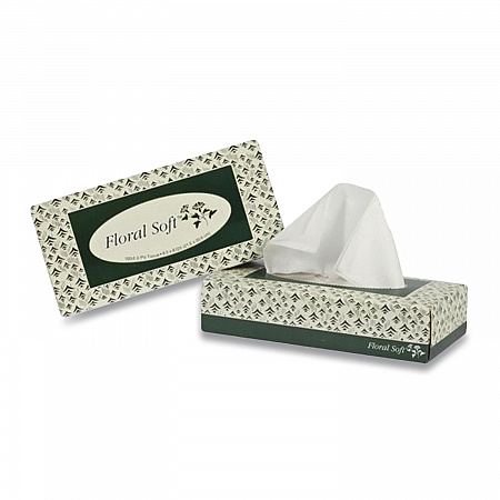 White Facial Tissue, 2-Ply, 100 Sheets/Box, 30 Boxes/Carton (F100)