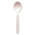 Berkley Square Individually Wrapped Mediumweight Cutlery, Soup Spoon, White, 1,000/Carton (886634)