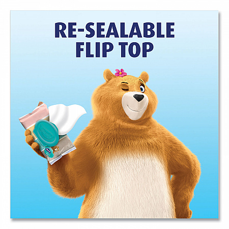 Flushable Wipes, 1-Ply, 5 x 7.2, Unscented, White, 40 Wipes/Tub, 4 Tubs/Pack (79619)