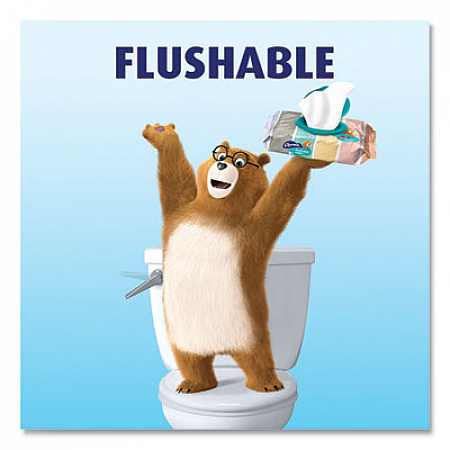 Flushable Wipes, 1-Ply, 5 x 7.2, Unscented, White, 40 Wipes/Tub, 4 Tubs/Pack (79619)