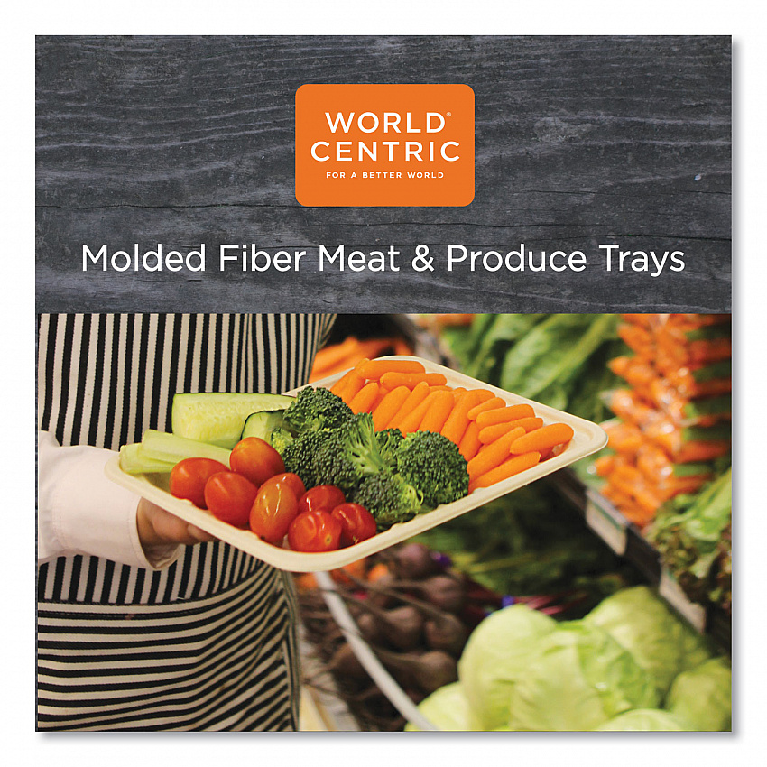 PFAS Fiber Trays, 9.1 x 7.1 x 0.7, Natural, Paper, 500/Carton (TRSC4S)