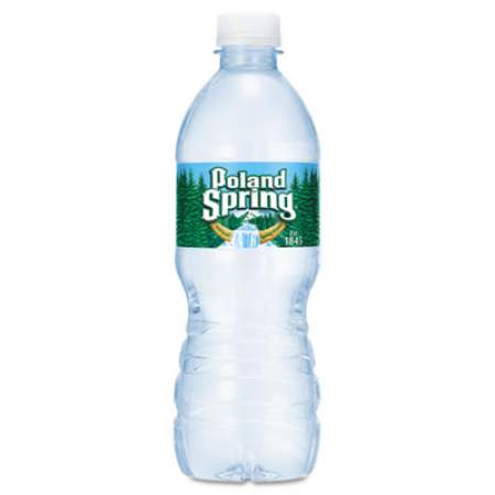 Nestle Waters Bottled Natural Spring Water, .5L, Bottles, 24/Carton (101243)