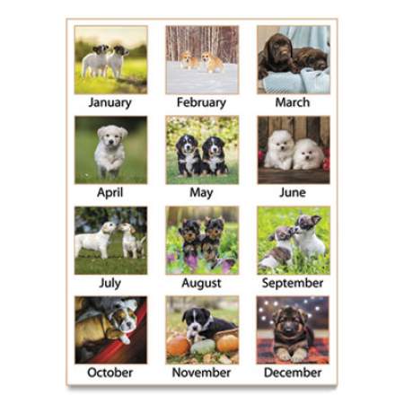 AT-A-GLANCE Puppies Monthly Wall Calendar, Puppies Photography, 15.5 x 22.75, White/Multicolor Sheets, 12-Month (Jan to Dec): 2022 (DMW16728)