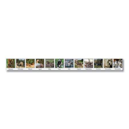 House of Doolittle Recycled Wildlife Photos Desk Tent Monthly Calendar, 8 1/2 X 4 1/2, 2018 (3689)