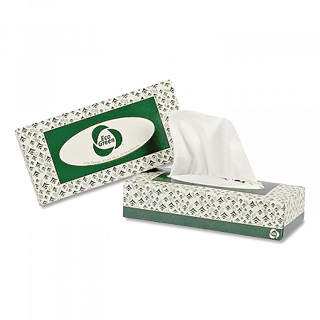 Recycled Two-Ply Facial Tissue, White, 150 Sheets/Box, 20 Boxes/Carton (EF150)