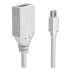 NXT Technologies Mini DisplayPort to DisplayPort Adapter, 6", White (24400023)