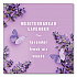 AIR, Mediterranean Lavender, 8.8 oz Aerosol Spray (96264EA)