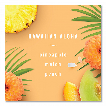 AIR, Hawaiian Aloha, 8.8 oz Aerosol Spray (96260EA)