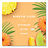 AIR, Hawaiian Aloha, 8.8 oz Aerosol Spray (96260EA)