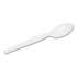 Dixie Plastic Cutlery, Heavyweight Teaspoons, White, 1,000/Carton (TH217)