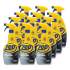 Zep Commercial Fast 505 Cleaner and Degreaser, 32 oz Spray Bottle, 12/Carton (ZU50532CT)