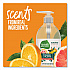 Natural Hand Wash, Mandarin Orange and Grapefruit Scent, 12 oz, 8/Carton (22925CT)
